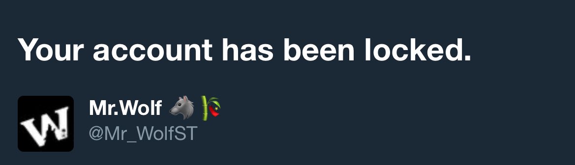 Mr.Wolf 🐺🎋 tweet media