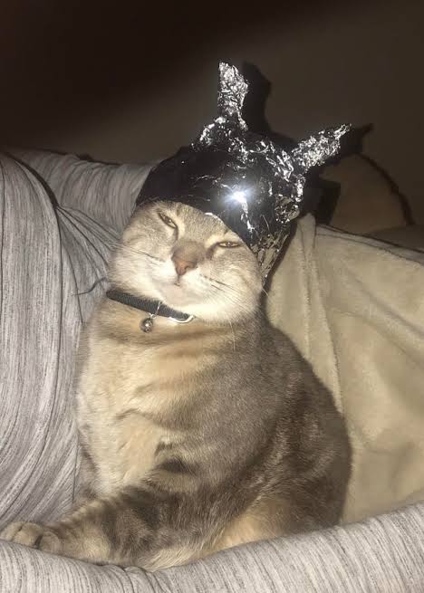 YeongNo 영노 🇰🇷 (Eat the Rich) 🏴🍄🎗卍 tweet media