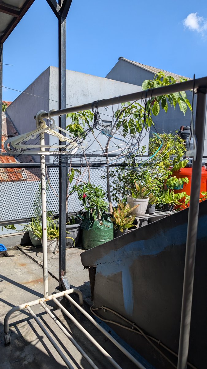 Yang belum pada gajianX jangan mutung gitu, jaga harapan dan produktivitas. 

Misal nyuci gitu pakaian sepekan mumpung panas ini enak buat jemur.