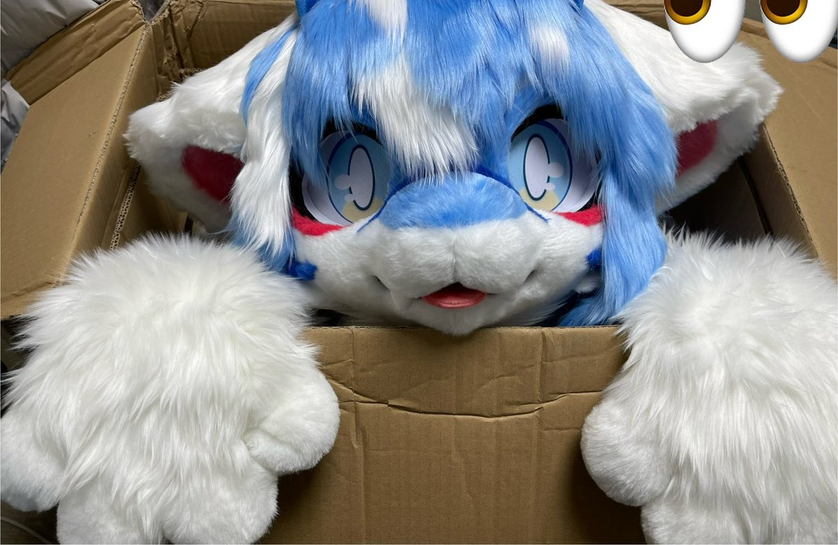 아룡 🔜 FURST CLASS tweet media