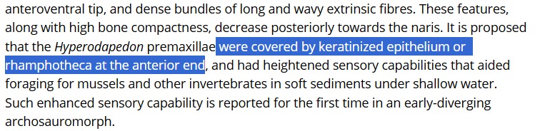 Mingau 🦃 tweet media