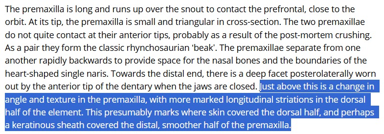 Mingau 🦃 tweet media