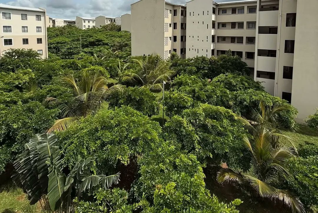 Vipingo Development PLC tweet media