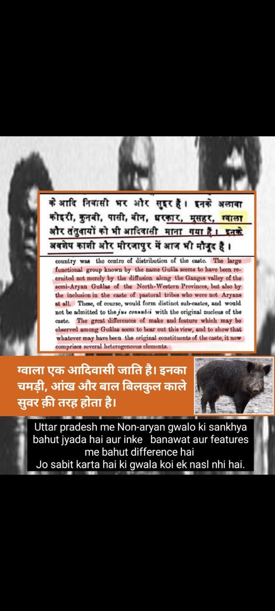 Thakur tweet media