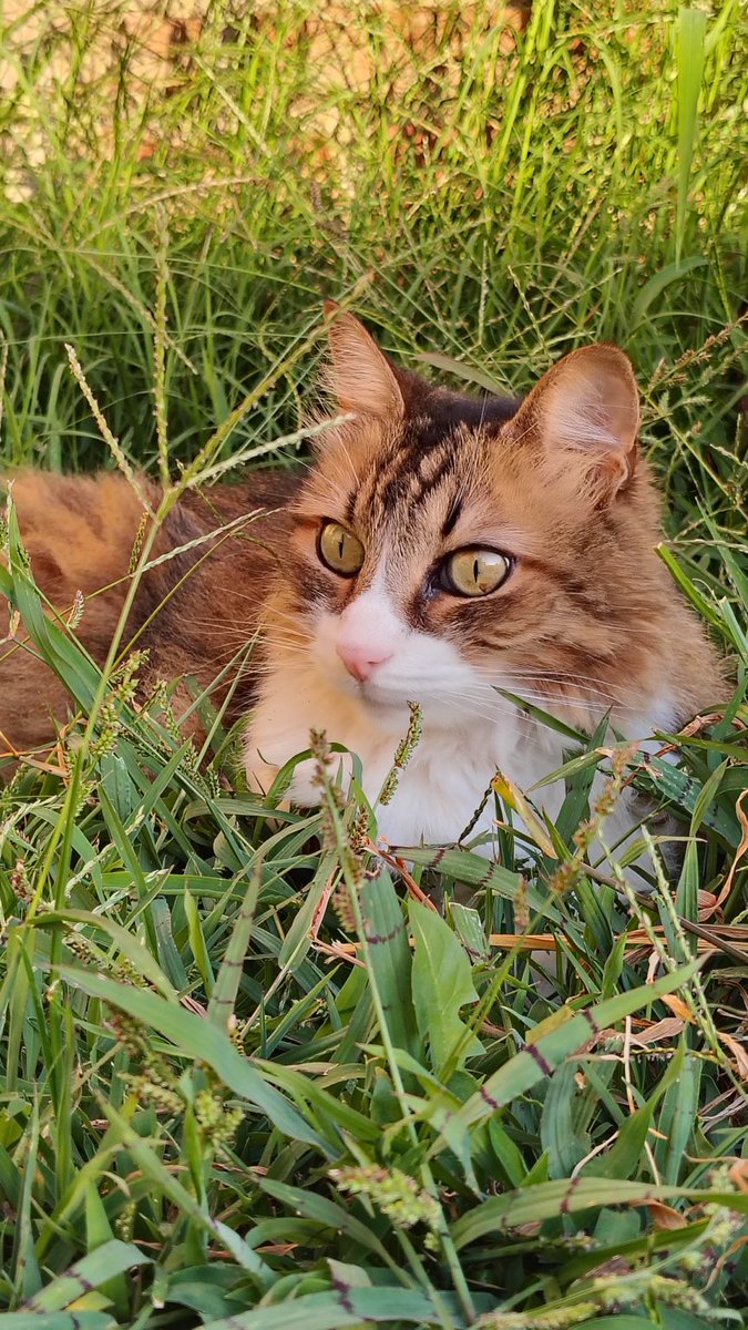 Mymi ♡ tweet media