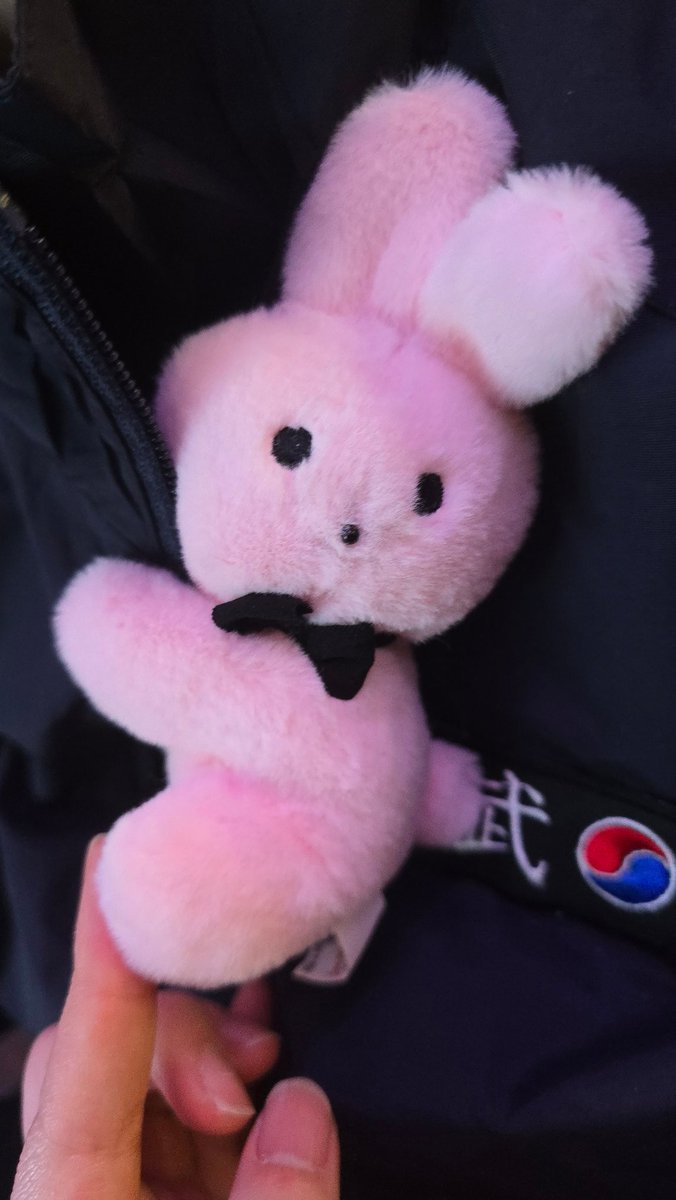 이카이🏴‍☠️ tweet media