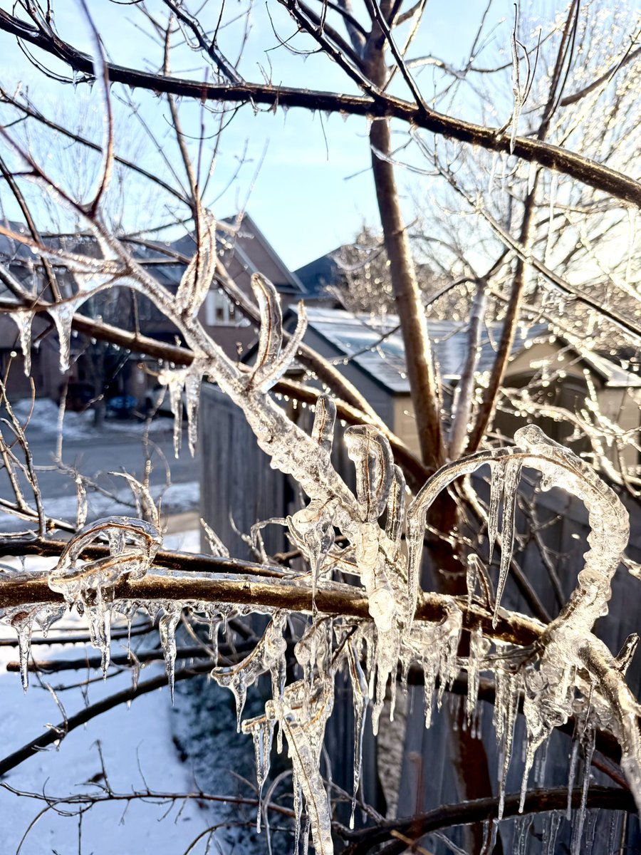 Dünya seni camdan bir sessizliğe mahkûm ettiğinde, sen içeride fırtınanın bile donduramadığı o gizli ormanı büyütürsün.