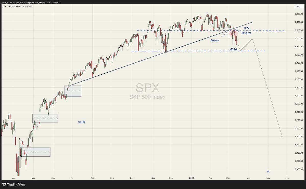 The Great Martis tweet media