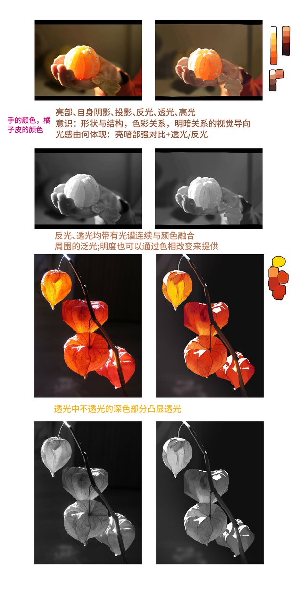 七島ショウ tweet media