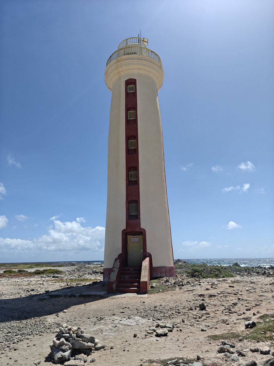 MSexton Photography tweet media