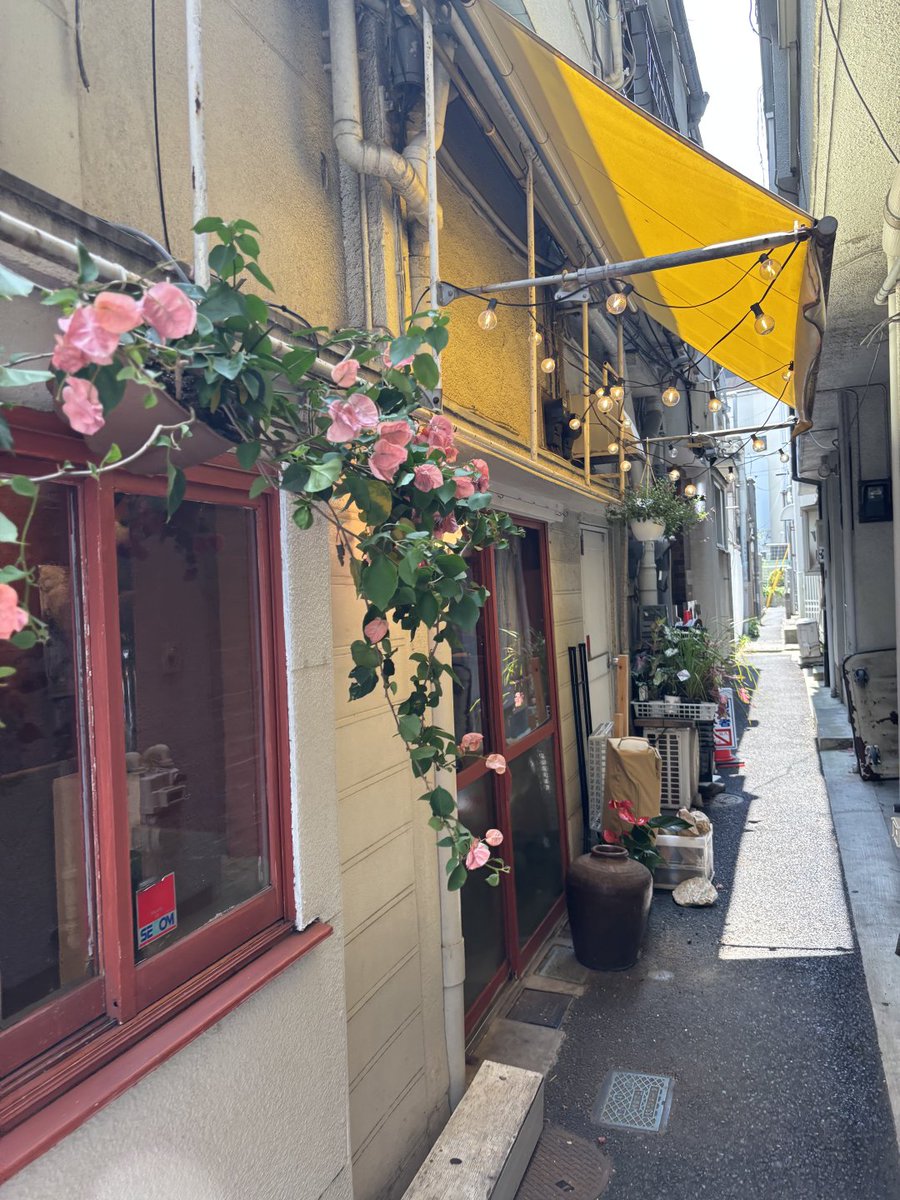 YefAdvisor's tweet photo. 高円寺のかわいすぎるお花屋さん💐
おまかせでお祝花をお願いしたんだけども～～ほんとうにフローリストさんのセンスが良すぎて大満足でした😭🌿
店内もこだわりを感じられてお店に行くだけでも楽しい空間🧶
花瓶も可愛かったなぁ
今度は花束を買おうと思う https://t.co/jUzNq35rNF