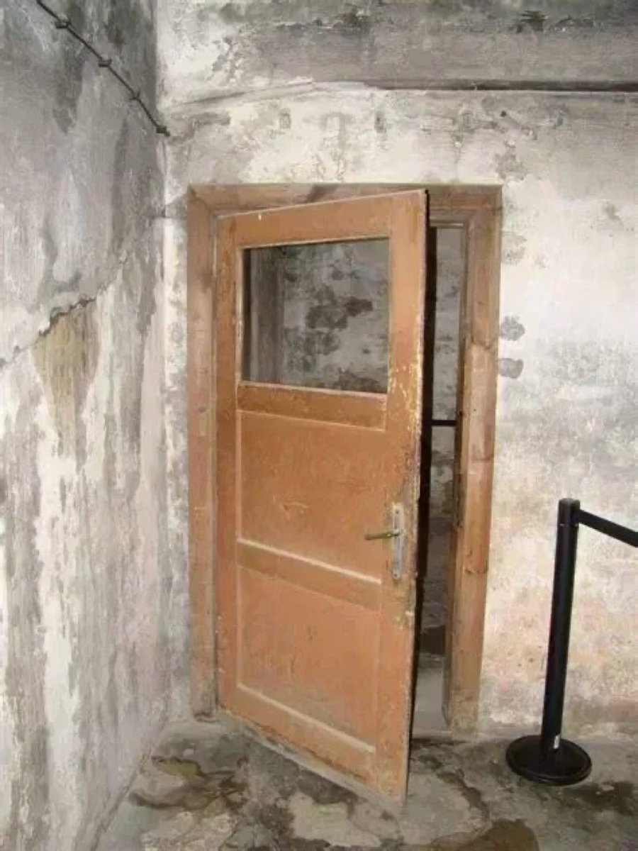 北小路 維織 tweet media