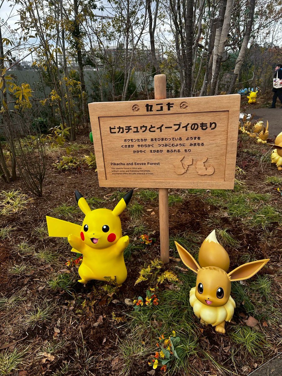 reichankwi's tweet photo. ポケパーク️🩵 https://t.co/N4XOEvhzOl