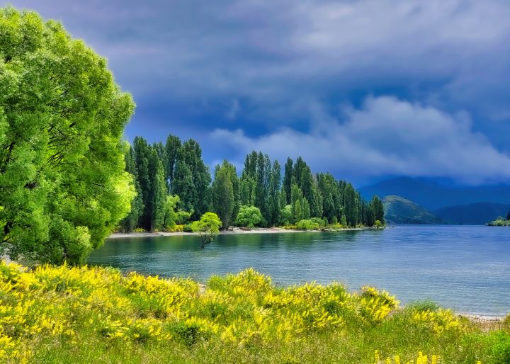 digitly's tweet photo. Art of the Day! "landscape, lake Wanaka, New Zealand". Buy at: https://t.co/krGpdcVeMT https://t.co/nxrtYbHtd7