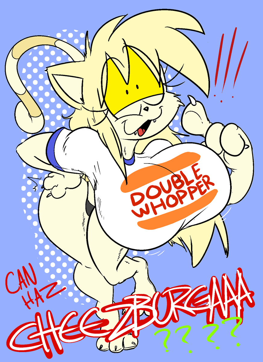 hamburger cheeseburger big mac