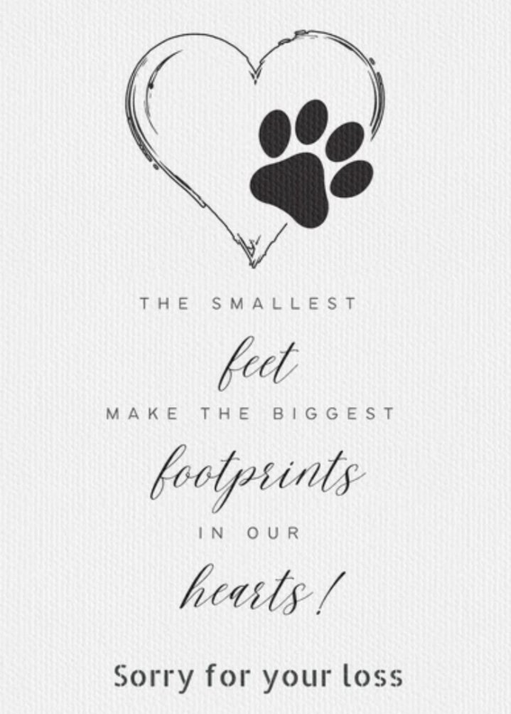 🌎✈ 𝓦𝓲𝓷𝓭𝓸𝔀 𝓢𝓮𝓪𝓽 ✈ 🌎 tweet media