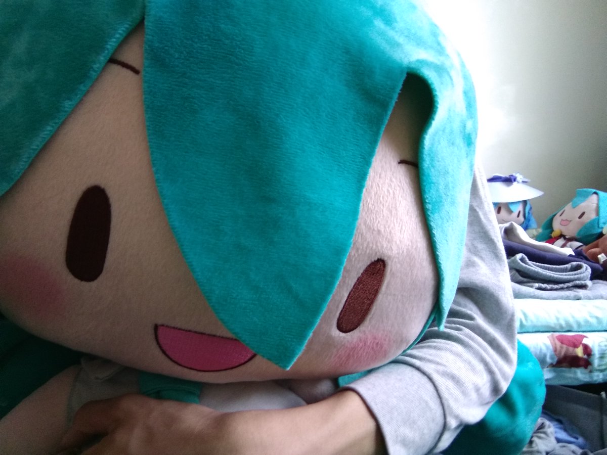 魚丸◎蕾娜/レナ tweet media