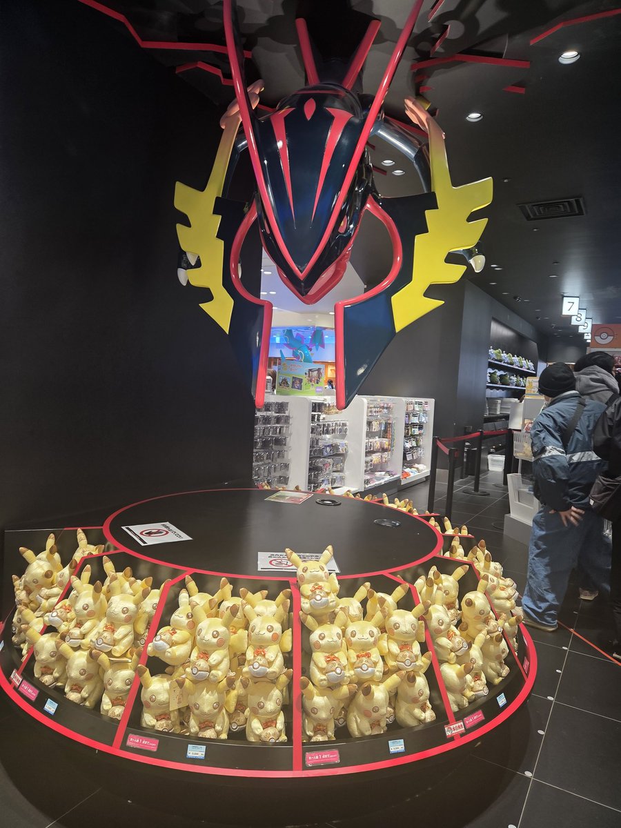 sae@ピカチュウマニアでなめこ栽培家 tweet media