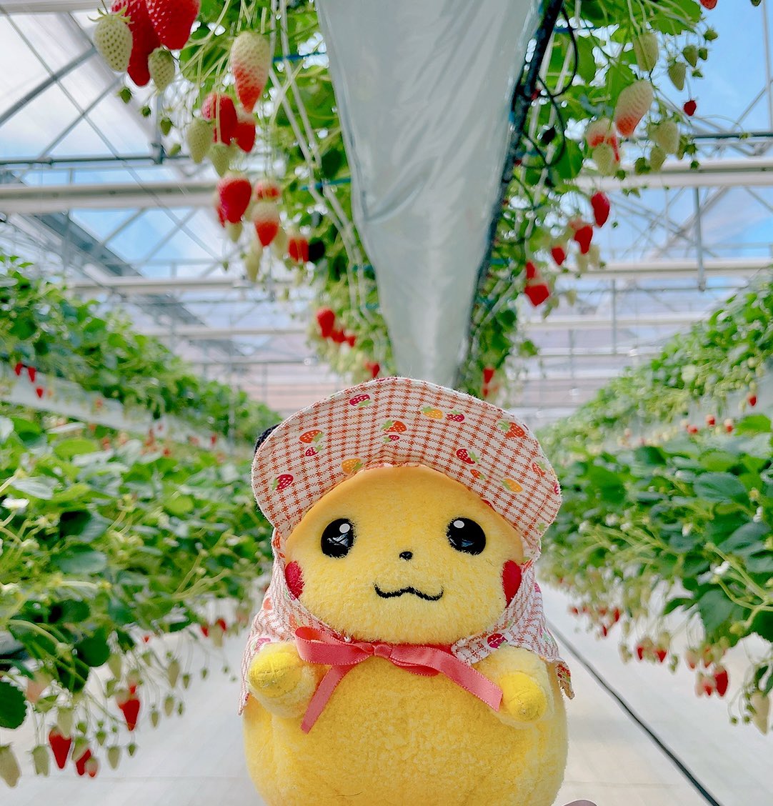 恭介@5/5スパコミ🐉 tweet media