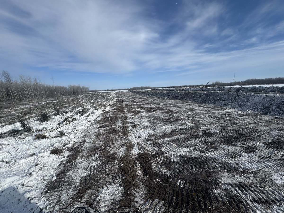 Craig Bandura tweet media