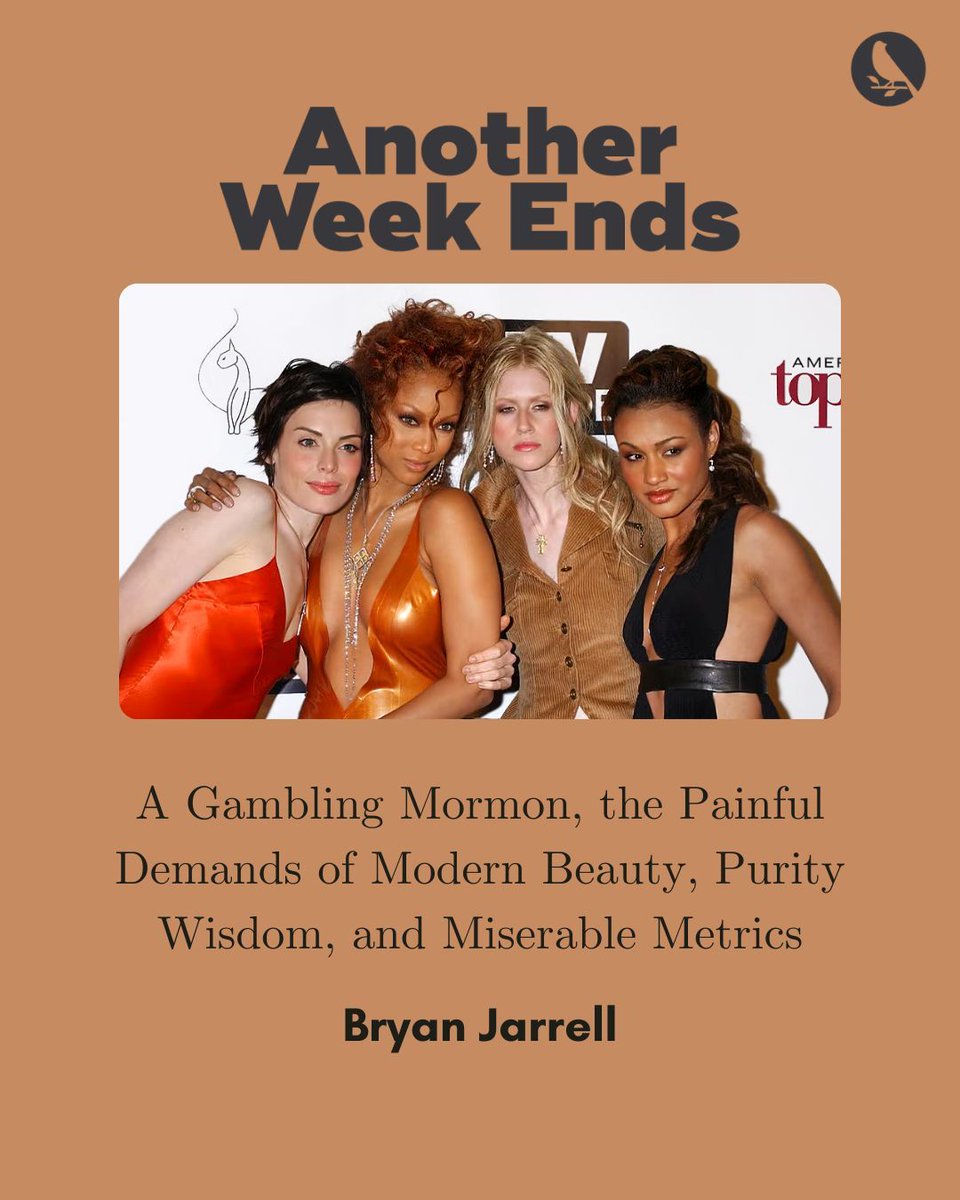 Mockingbird tweet media