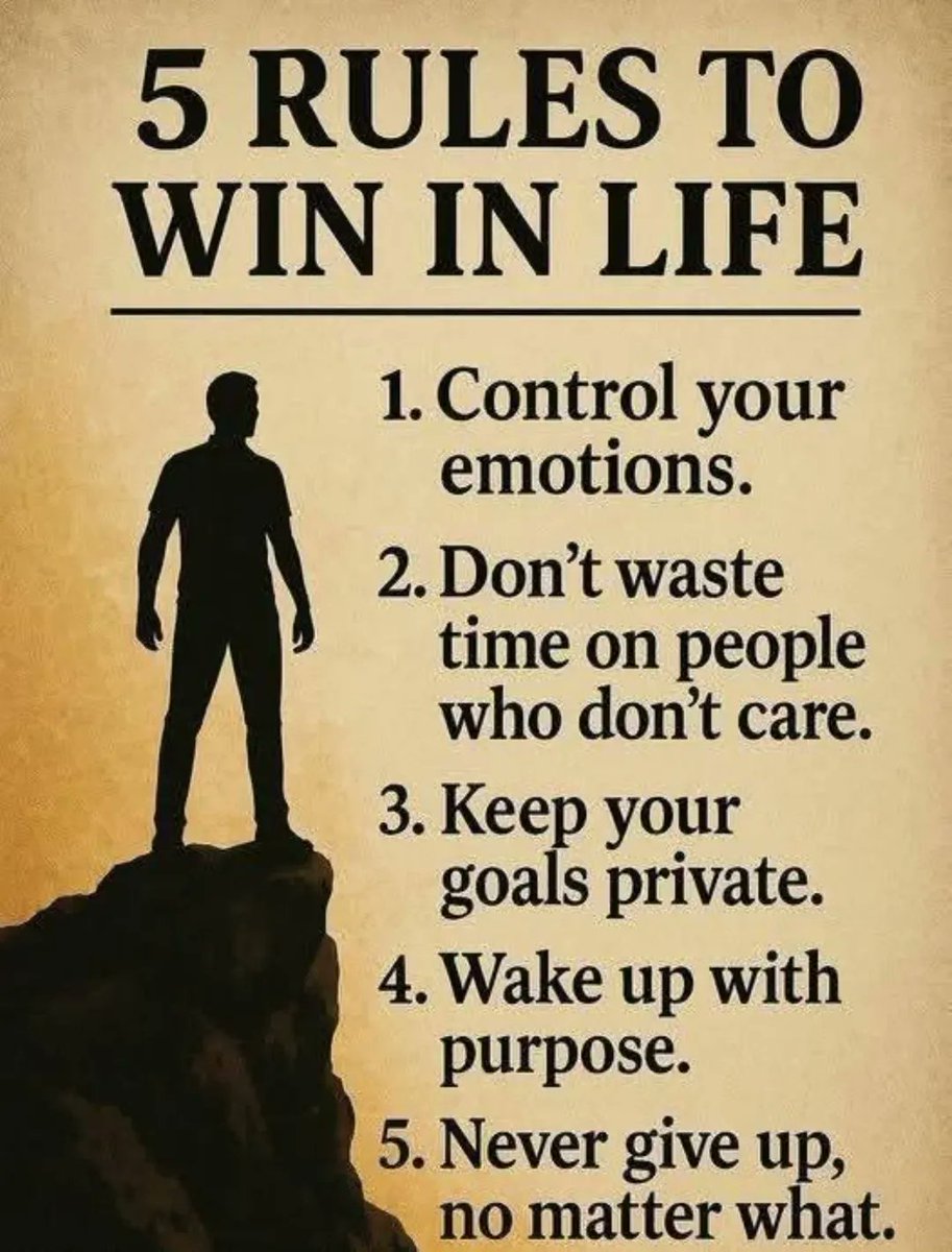 Seek Wiser tweet media