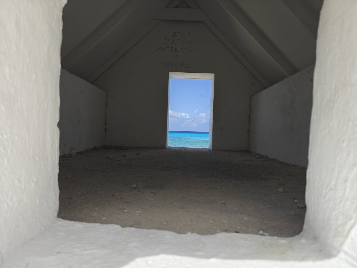 MSexton Photography tweet media