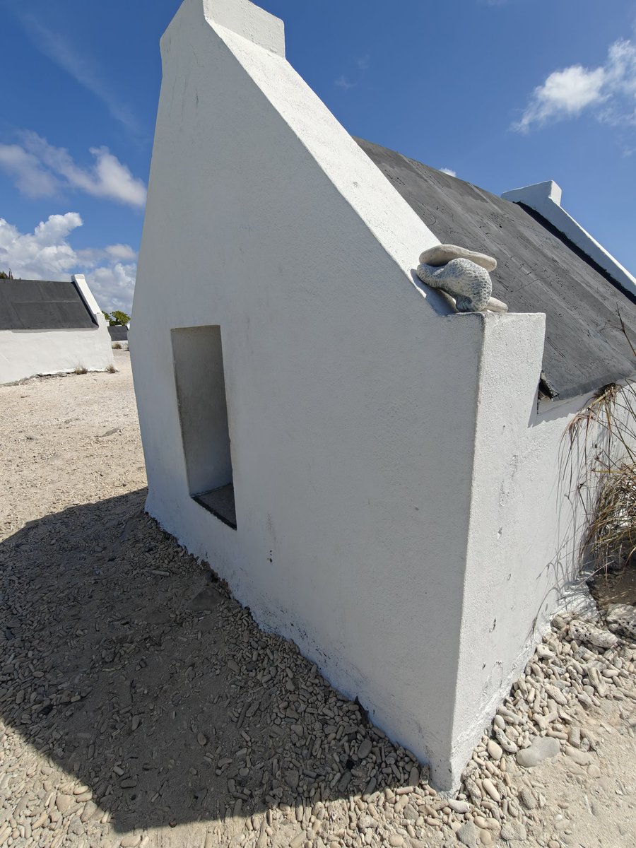 MSexton Photography tweet media