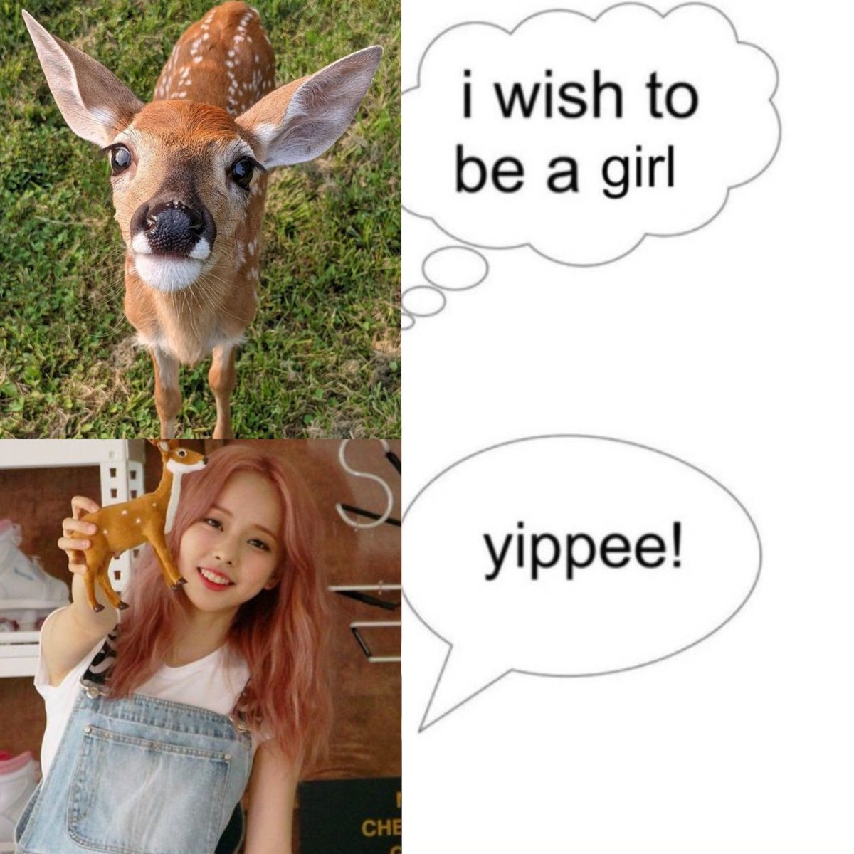 vivi folder tweet media