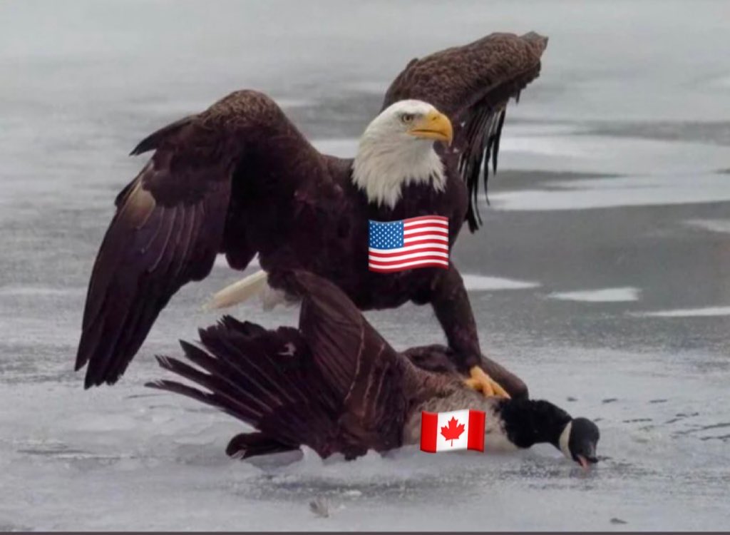 Death , taxes and destroying Canada 🇺🇸 <a href="/JustinTrudeau/">Justin Trudeau</a>