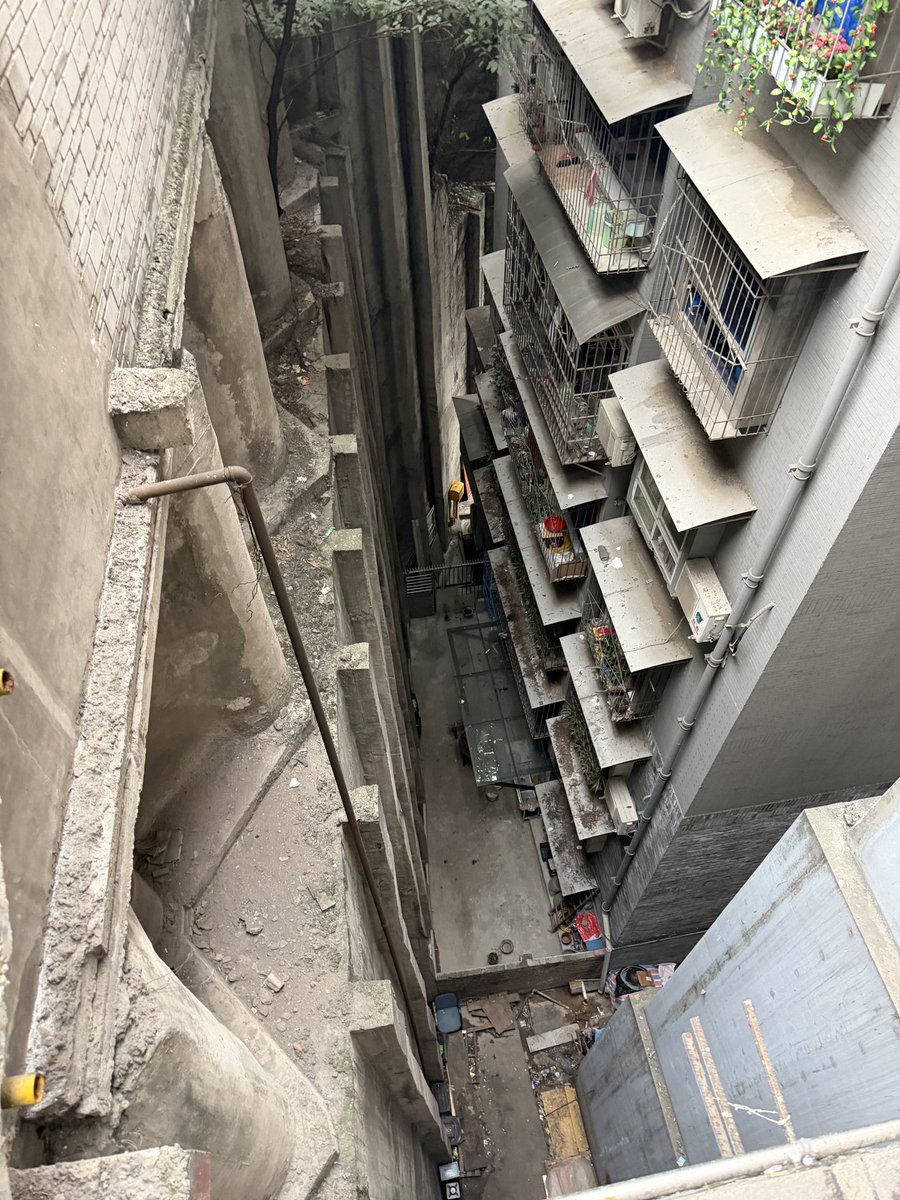 すごい！！これが見たかった