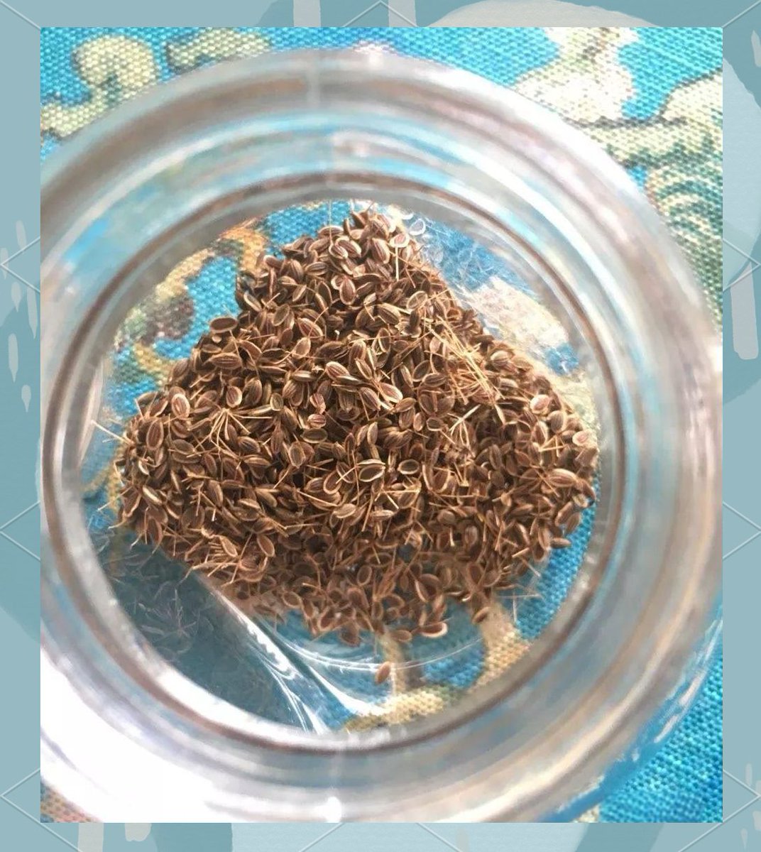 daniel szydlo tweet media