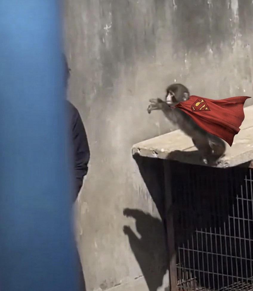 NoahKomoda tweet media