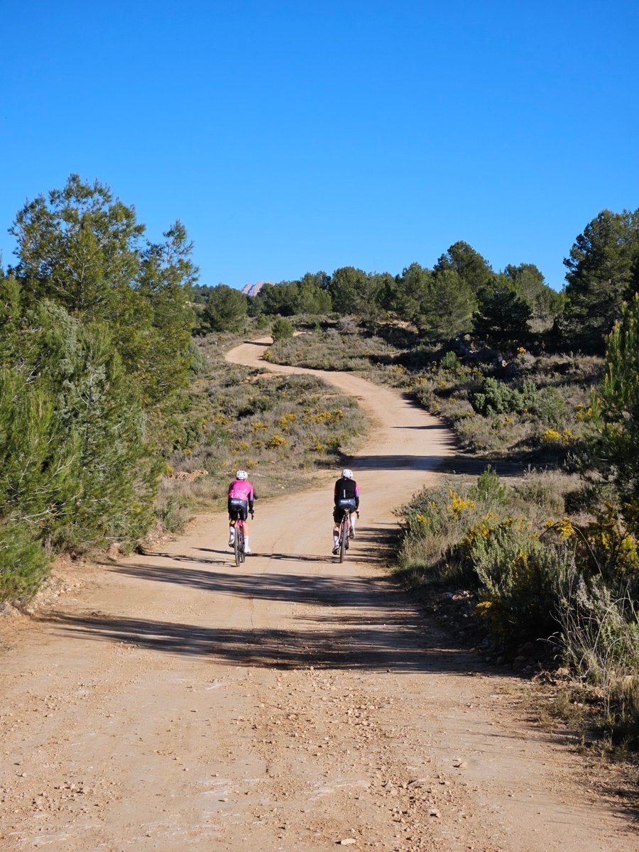 Ben Thomas Coaching tweet media