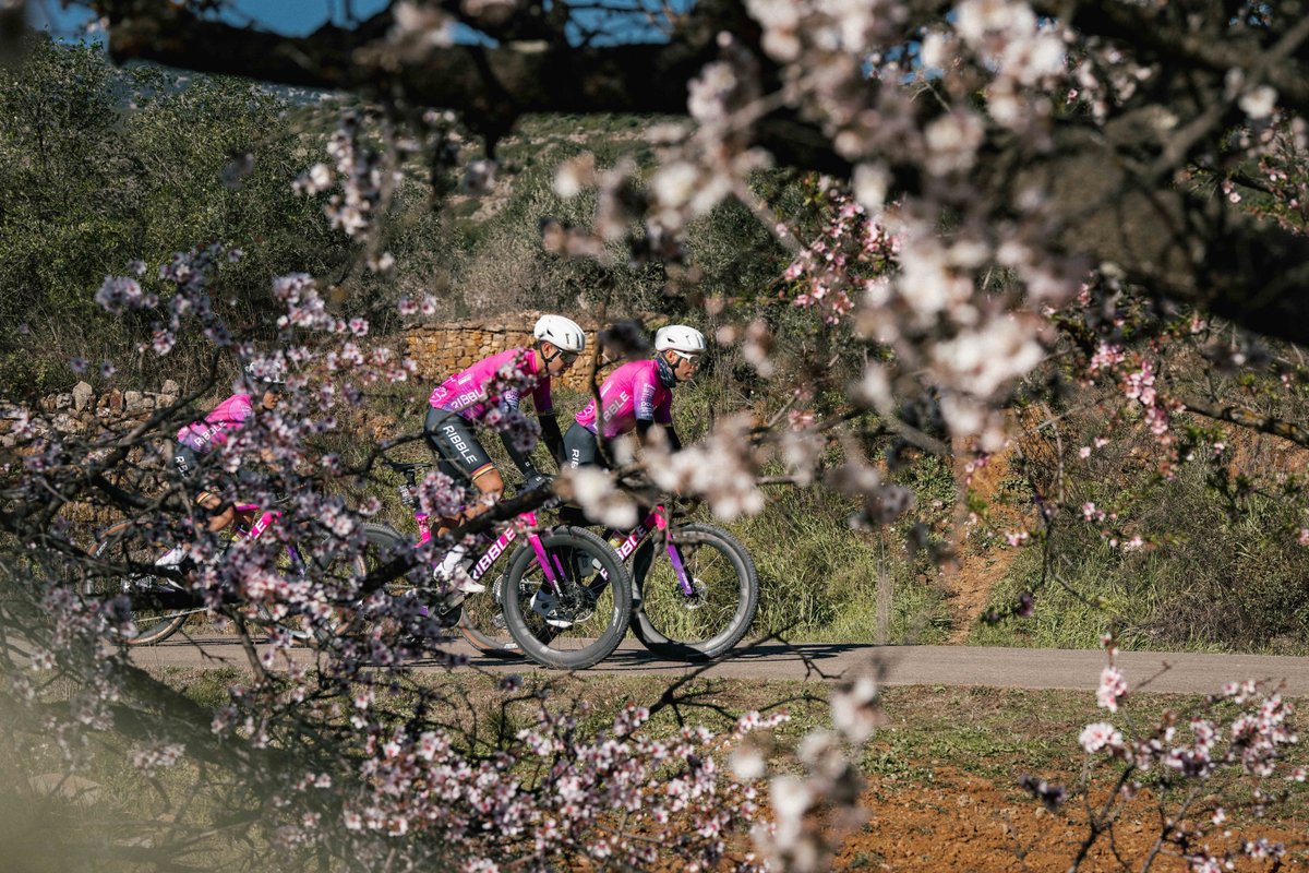 Ben Thomas Coaching tweet media