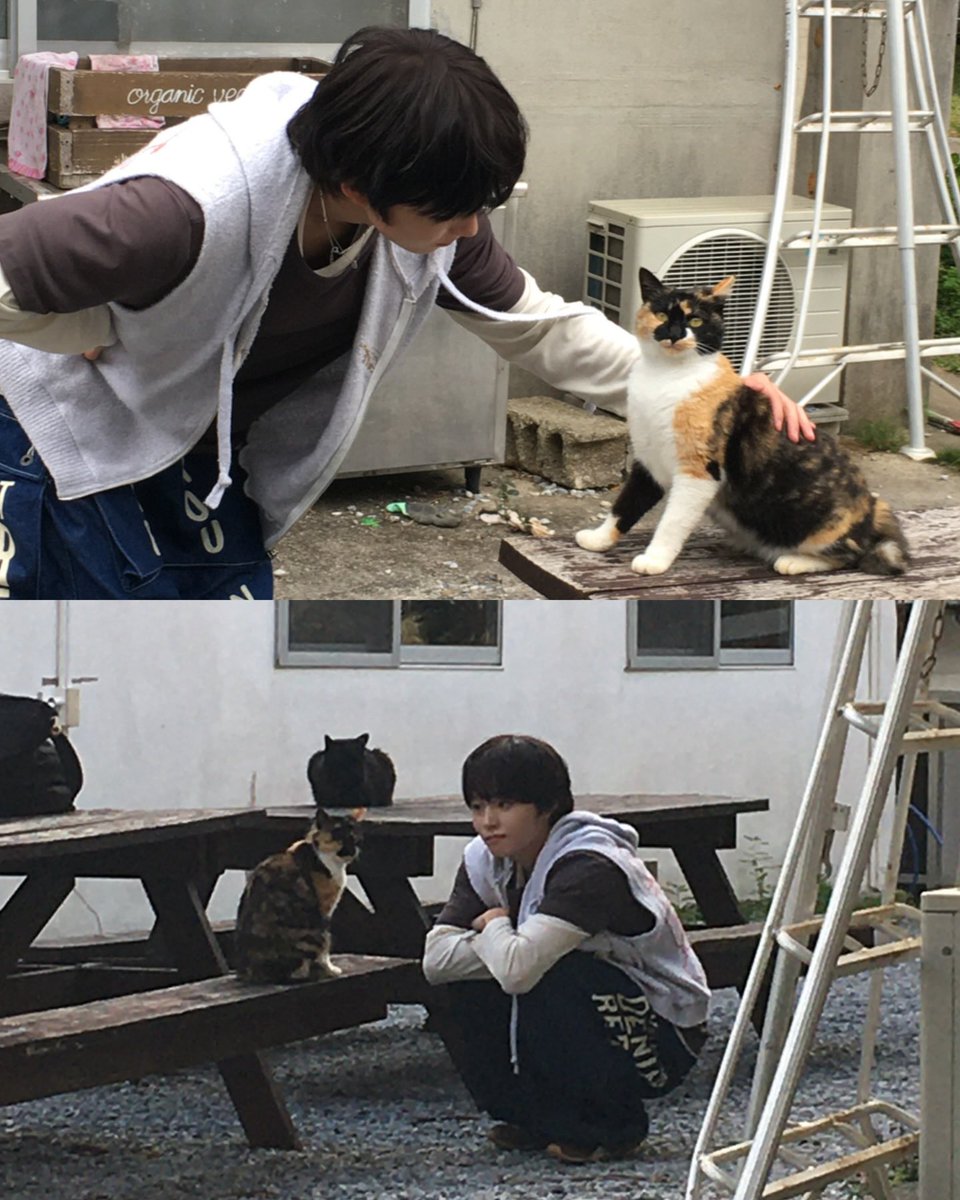 ﾖｸꜝ tweet media