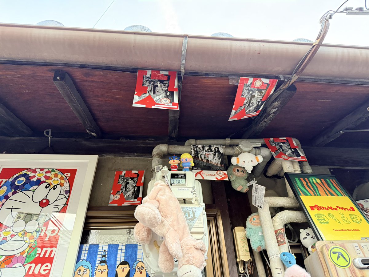 大翡 翠 / Midori Okawa tweet media