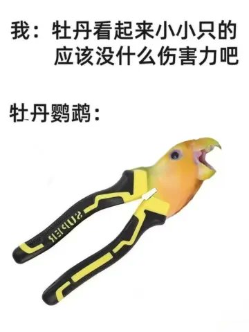 一定要发财啊 (@renyt888) on Twitter photo 