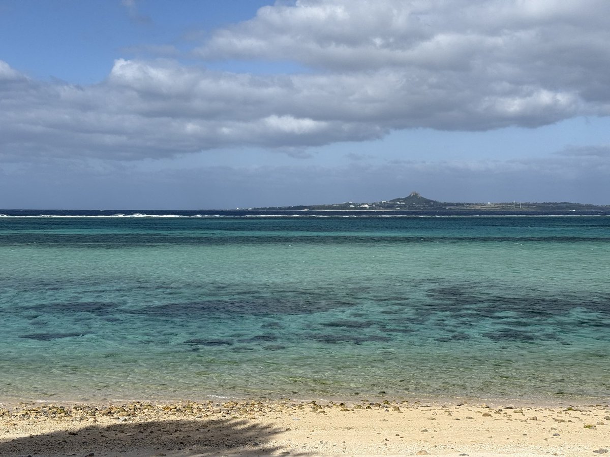 大崎 達也 / Tatsuya Osaki tweet media