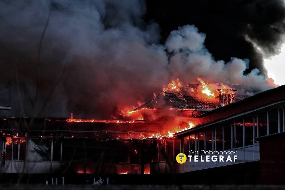 Inga Tolockiene tweet media