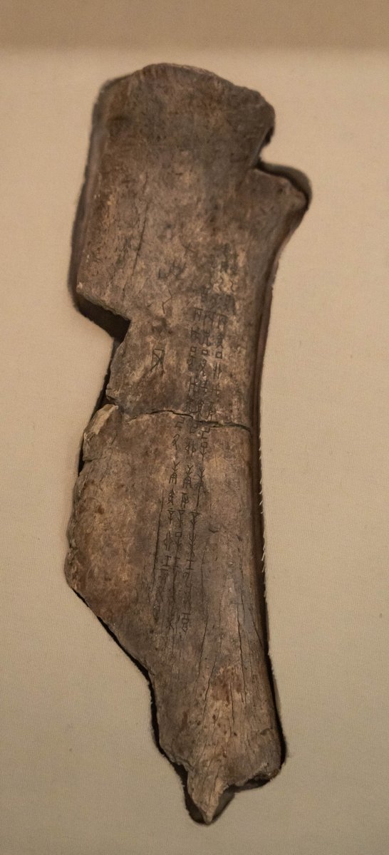 ChinaShowcase tweet media