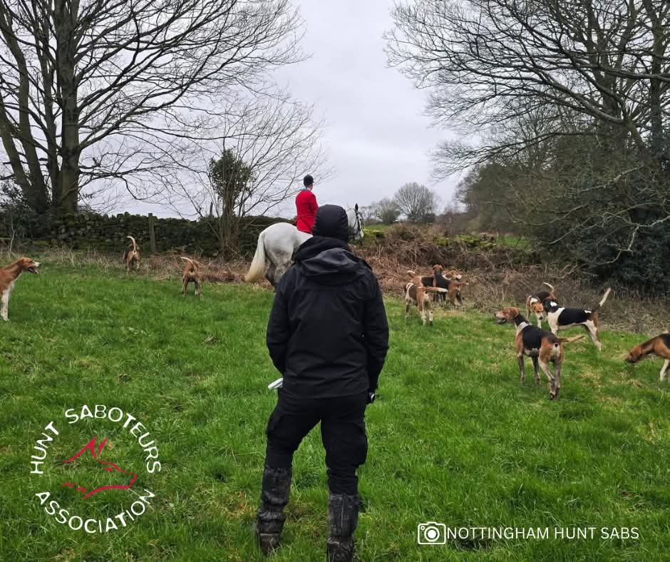 Hunt Saboteurs Association tweet media