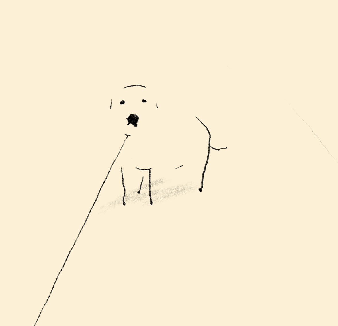 リポ・トウ tweet media