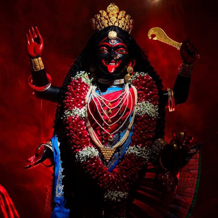 तारा tweet media