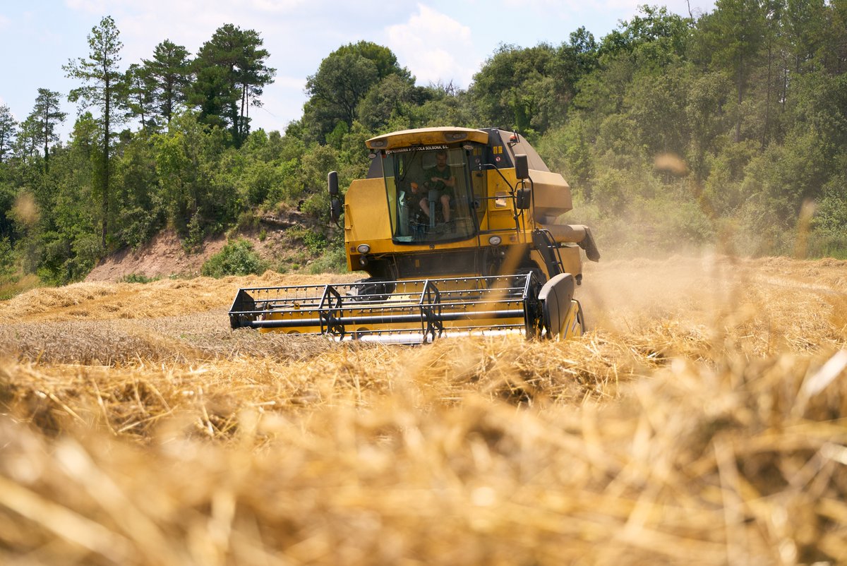 Benvinguts a Pagès tweet media