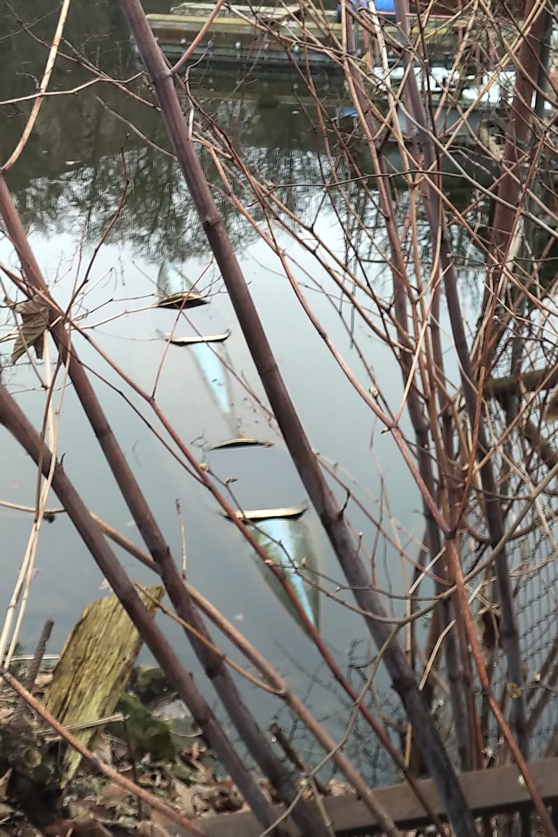 ⚓ Grand Vizier ⚓ tweet media