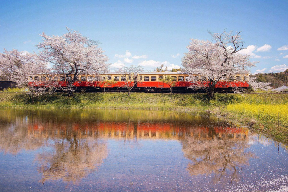 Japan Travel tweet media