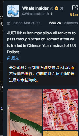 鲨鱼 SharkApΞs 🎲🎲🎲 tweet media