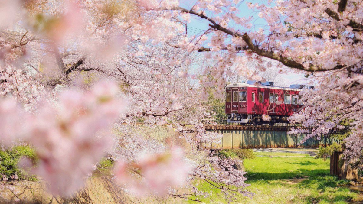 Japan Travel tweet media