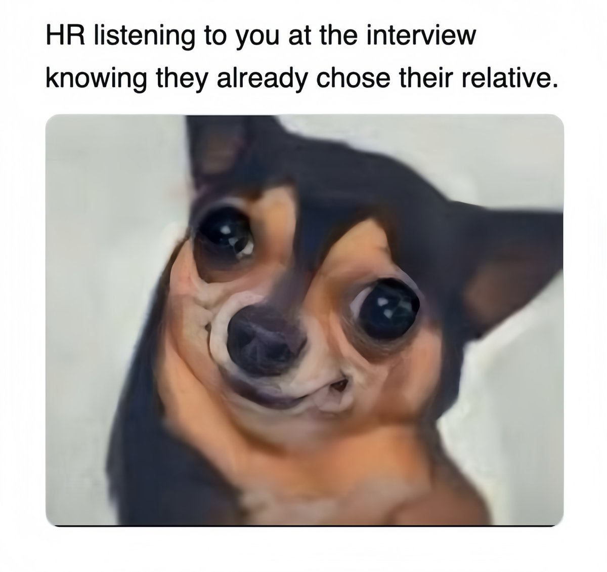 SimpleApply tweet media